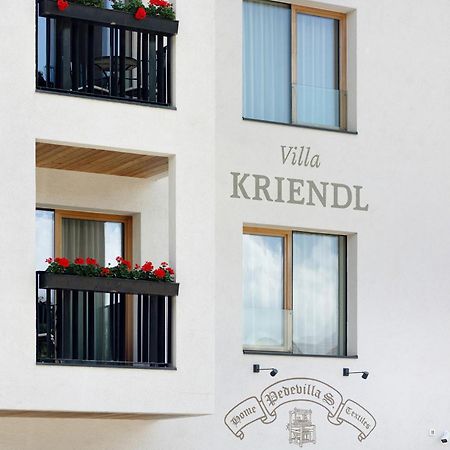 Villa Kriendl Nr 1 Lanzwiese Olang Екстериор снимка